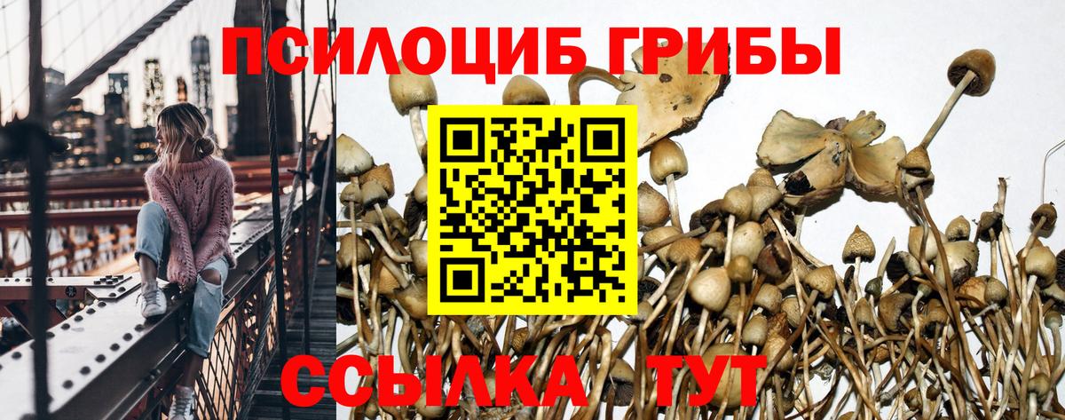 Галлюциногенные грибы Cubensis Люберцы